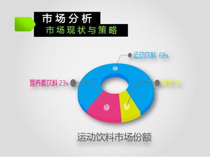 娃哈哈激活2013-2016年度市場營銷策劃方案